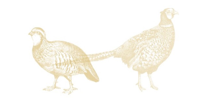 Pheasant and Partridge Hunts