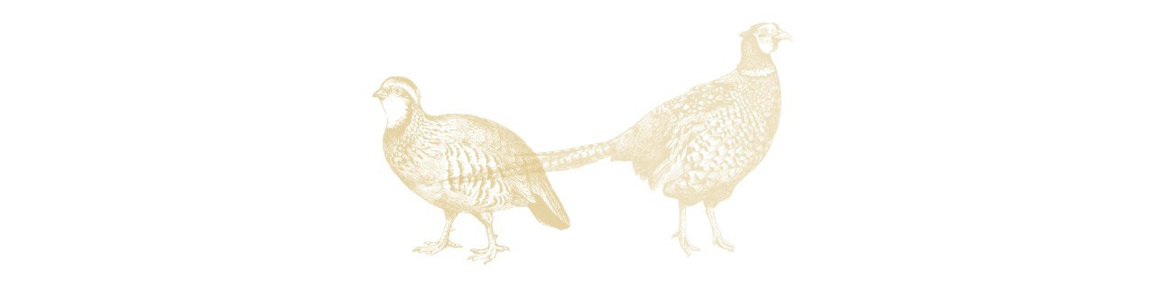 Pheasant and Partridge Hunts