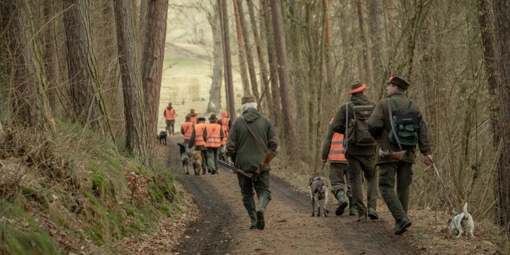 Pheasants & Partridges