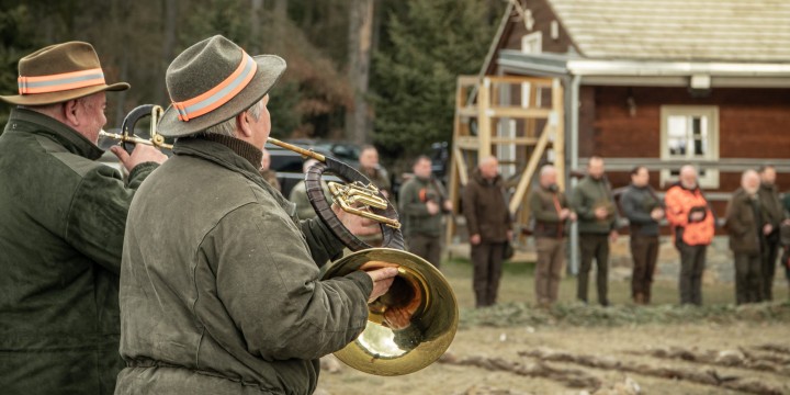 Pheasants & Partridges