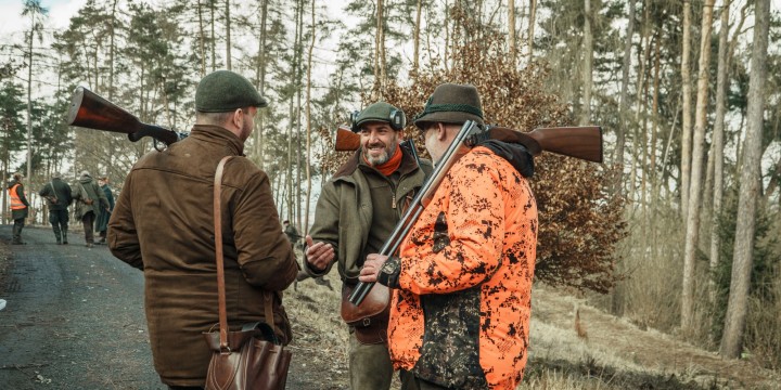 Pheasants & Partridges