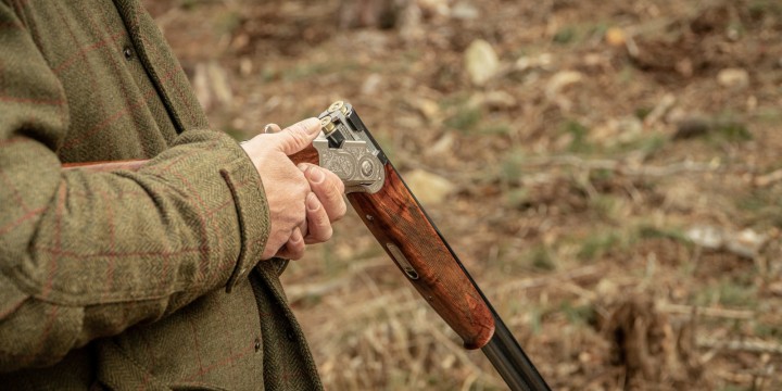 Pheasants & Partridges