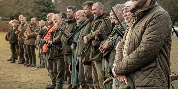 Pheasants & Partridges