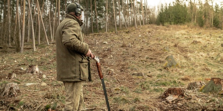 Pheasants & Partridges